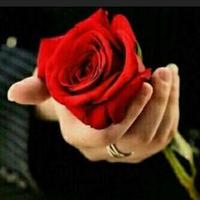 صالح الغامدي (@s141074) 's Twitter Profile