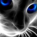 Jose Antonio Bernard - @joanbego1970 - Twitter