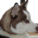 Clay Peters - @Socom01 - Twitter