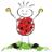 ladybird_dubai's profile image