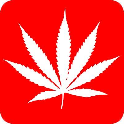 Always blastin' beats till the day is over, can't live without music, smoke weed everyday is our motto! This twitter is run by Erica and Brianna ❄️❄️❄️