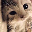 ▽ R i k a k o (@0211Kuma) Twitter