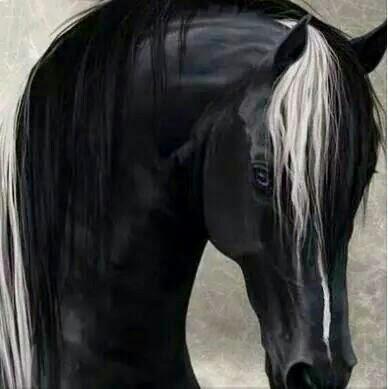 القرآن منهج حياة