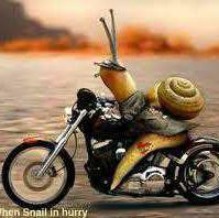 sipotDAsnail's profile picture. 