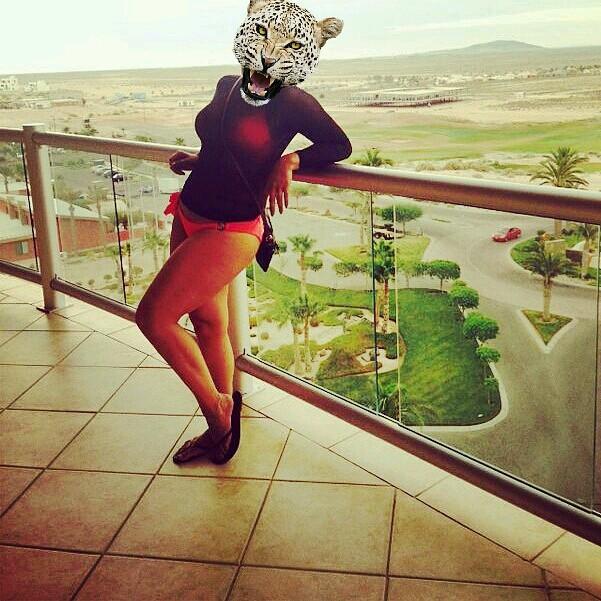 raqeelval's profile picture. walking gets too boring.. when you learn how to fly*3