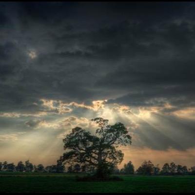 WATCHOUTDASTORM's profile picture. WATCH OUT ITS THE STORM ⚡️☔️