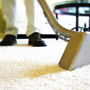 Give your carpets some TLC! Call cleaner carpets mansfield today.