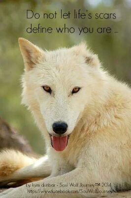 rainflower63's profile picture. Animals, Earth and People......many hobbies, love cats, Native American Cultures etc....