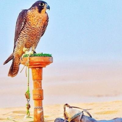 يارب أحسن خاتمتي، وانطقني الشهادة يوم ترفع الروح إليك!!