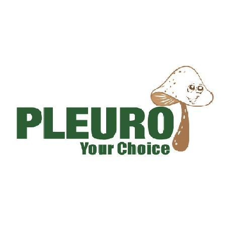 We utilise the properties of #gourmet and #medicinal #mushrooms to develop #healthy,modern #food. http://t.co/fE5h3Kkmkx