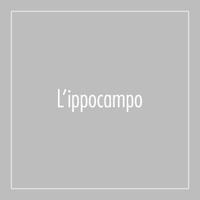 L'ippocampo Edizioni (@ippocampolibri) 's Twitter Profile