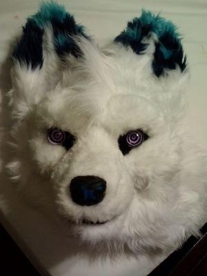 ChibiSplash's profile picture. just a beginner at dance, effortless trying and practicing ^ͺ͵^