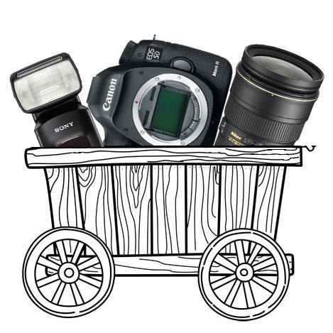 fototelega's profile picture. 