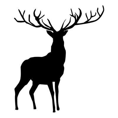 Entrepreneur at F & M
owner http://t.co/oJJW8R2e5O ®
owner Dutch Designers Store
