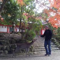 Raul Collado (@raulcolladodura) 's Twitter Profile Photo