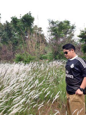 Irfansyah545's profile picture. 