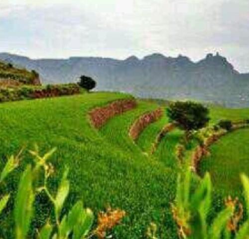 msm_1414's profile picture. 