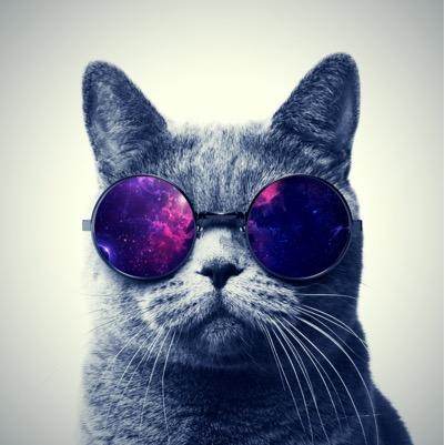 alpha_uf's profile picture. 