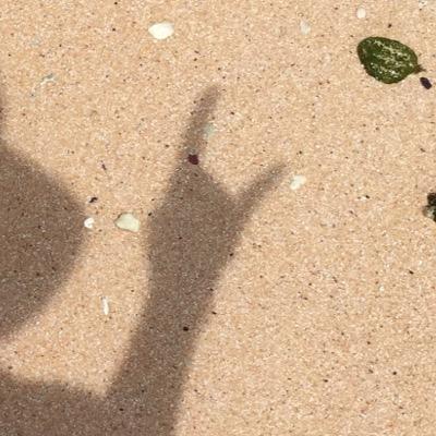 アニメ、漫画、美女を主食とするぬるヲタです。ビビッときたらフォローお願いします。気軽に話しかけてやってください。 [Kiramune/日常/ラーゼフォン/とらドラ！/みなみけ/st☆sk/AKB48/Amelie/SATC/OBC/☆☆☆/🐟🍖]