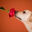 earnest hunter - @Hunter_Only - Twitter