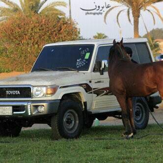 ‏‏الحويطي صاحب فزعة