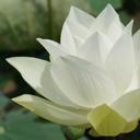 Sarah Illy - @sarahjilly01 - Twitter