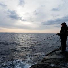 釣り好きです釣り仲間できればいいなと思ってます！海とかよく行ってます