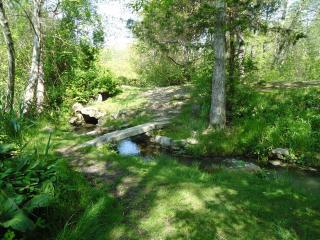 robertoreale's profile picture. http://t.co/ipZ2bo83kS