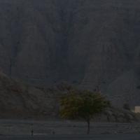احمد (@ahmedaldahori91) 's Twitter Profile