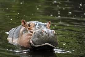 kbhogal2012's profile picture. 