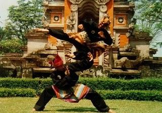 I am student of martial arts and Iam love you silat Indonesia ♥