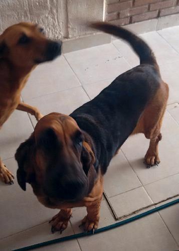 marceruza77's profile picture. 