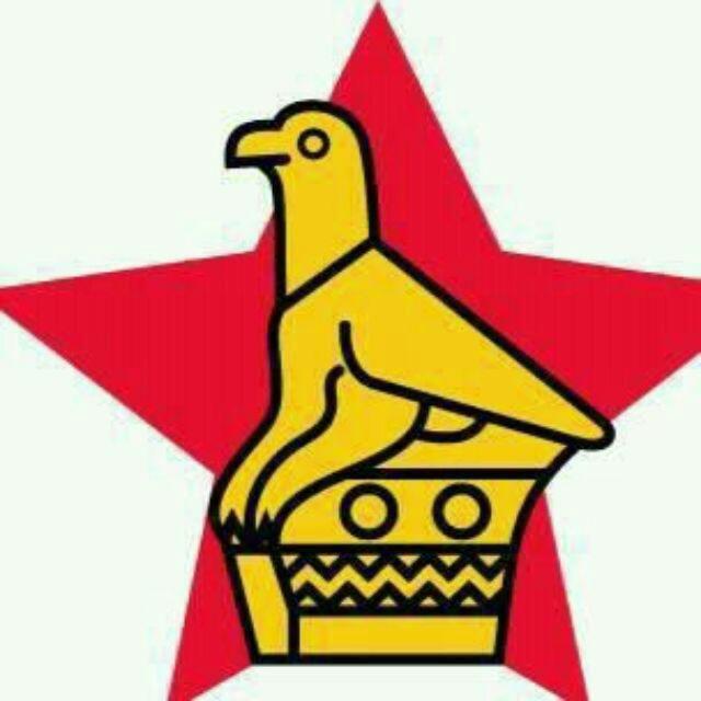 ITS ALL ABOUT ZIMBABWE CELEBRITY TWEETS