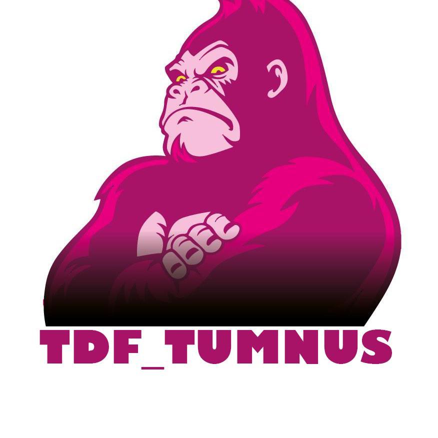 TDF eSports UK Pro/AM Comp Teams |Sponsors @PhoenixAirsoft1|@niftymodz|@CoreDisplays|@Hubgaminguk|@TriAnimus|@GeckoGrips| supporting @Gaming4CancerUK