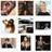 instagram_celeb's profile image