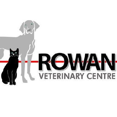 Small animal veterinary practice in Blackpool & Kirkham giving care to dogs, cats, rabbits etc.