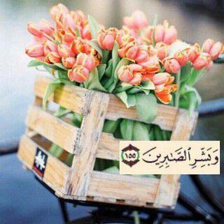 ‏'' امكك، ثم امكك ،ثم امكك * *