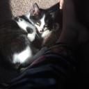 Ashley Hallock - @ashleyhallock2 - Twitter