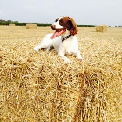 Proud dad and husband who loves farming and football!                                     all views are my own!