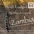 Specialists in Creative Photographic Safaris and Birding Safaris. Just minutes away from the main gate of South Luangwa National Park.