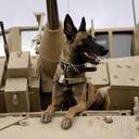  Adam J Sugg - @Sgt_Adam_Sugg - Twitter