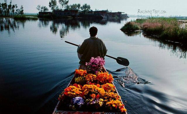 BerahaGina's profile picture. 