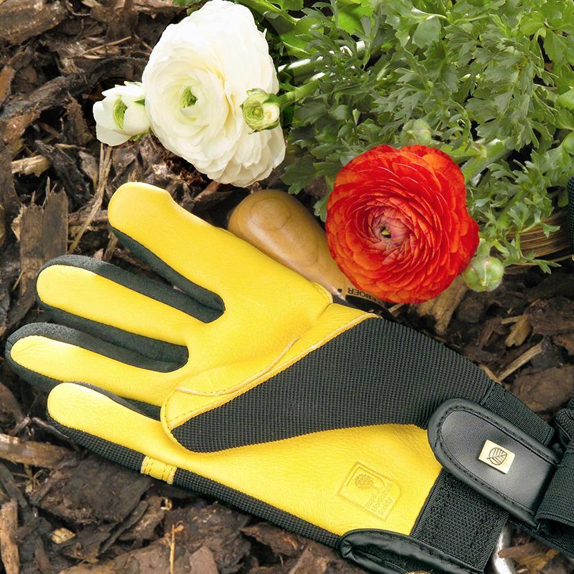 We love gardening and tweet Gardening hints, tips and words of wisdom.
Links to great gardening articles and the odd  money off voucher!