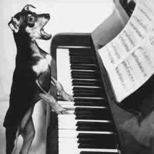 tentwing1's profile picture. #взаимофолловинг #взаимный_фолловинг
#ответныйфолловинг #ДавайЧитатьДругДруга #followme
#RT #ЧитайМеняАяТебя #FollowBack #фоловинг