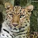 Caroline Roos - @rooscaroline2 - Twitter