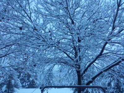 nank87's profile picture. 