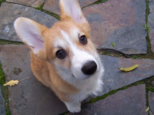 terrymccoy's profile picture. 