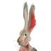 Wild Hare Walking (@wildharewalking) Twitter profile photo Wild Hare Walking (@wildharewalking) Twitter profile photo
