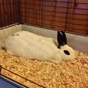 Kurt ward  - @kurt_kurtward3 - Twitter