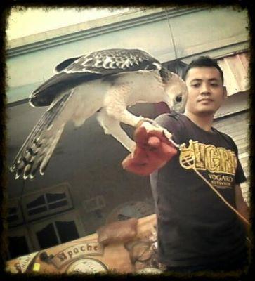 ContentHelp's profile picture. 